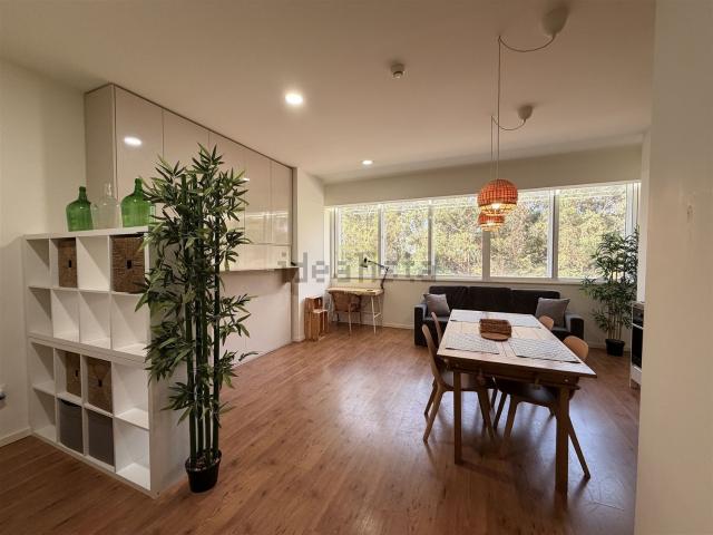 Apartamento, Paranhos