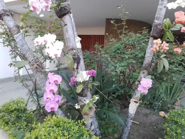 Apartamento / Residencial / Andaraí