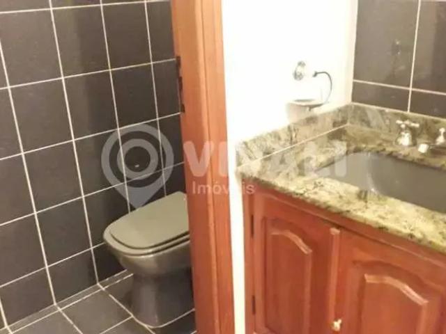 Apartamento: / Residencial / Centro