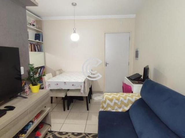 Apartamento, Residencial Cosmos, Campinas, SP