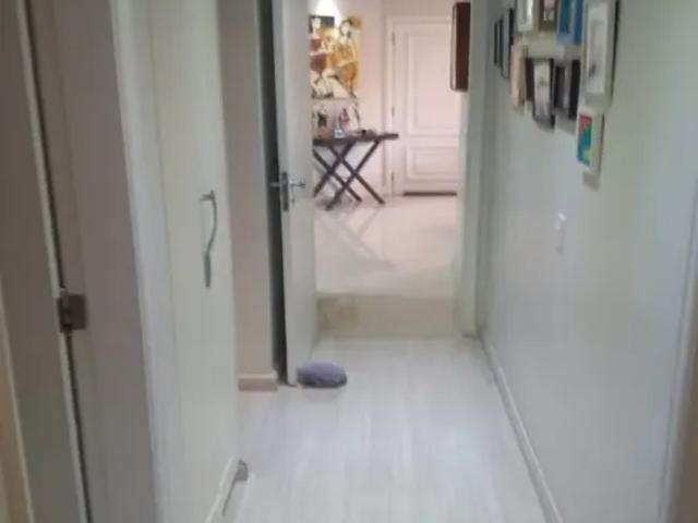 Apartamento residencial em são paulo sp, chácara inglesa