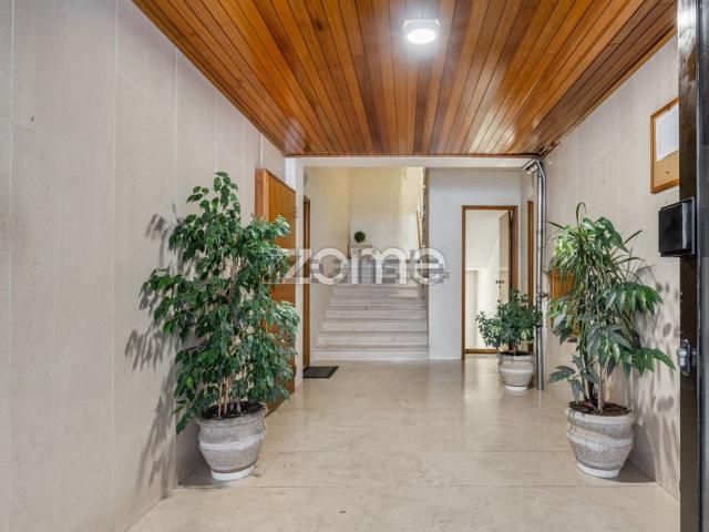 Apartamento, São José de São Lázaro e São João do Souto