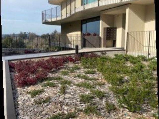 Apartamento, São Miguel do Rio Torto e Rossio ao Sul do Tejo