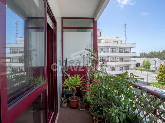 Apartamento, São Paio de Oleiros