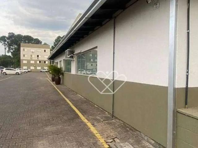 Apartamento Semi Mobiliado no Parque Olinda – 58m² com Churrasqueira