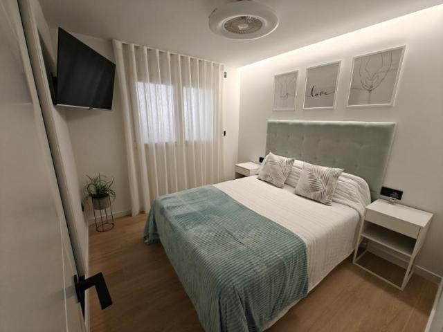 Apartamentos 3 Dormitorio Alicante Alicante ES105360716