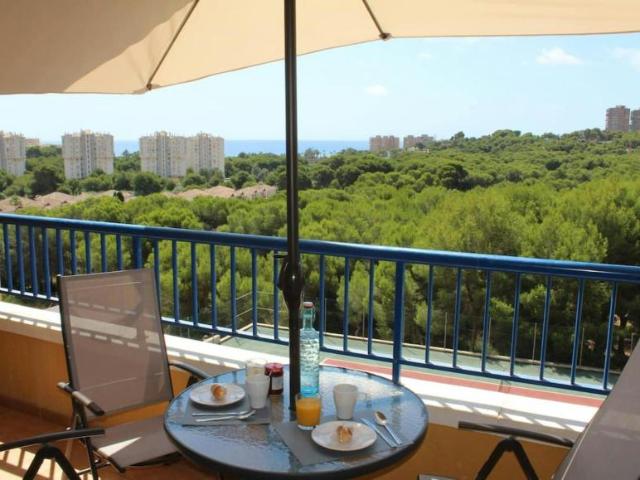 Apartamentos 3 Dormitorio Dehesa De Campoamor Dehesa De Campoamor ES105270351