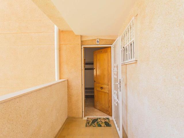 Apartamentos 3 Dormitorio Torrevieja Torrevieja ES99382723