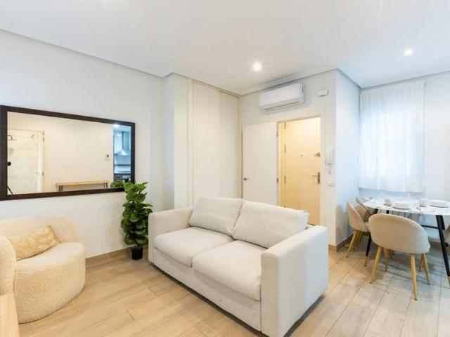 Apartamentos 1 Dormitorio Madrid Madrid ELS104225209