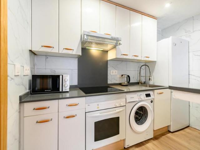 Apartamentos 1 Dormitorio Madrid Madrid ELS101774919