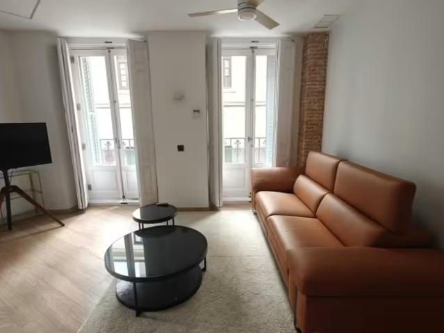 Apartamentos 1 Dormitorio Madrid Madrid ELS97137655