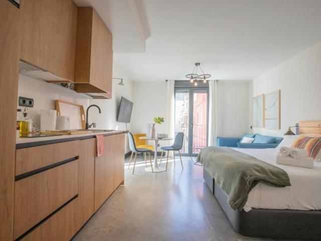 Apartamentos 1 Dormitorio Madrid Madrid ES81480485