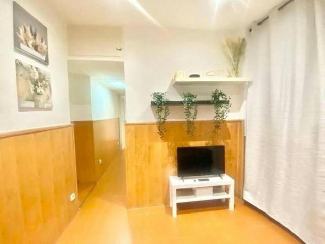 Apartamentos 1 Dormitorio Madrid Madrid ES94323864