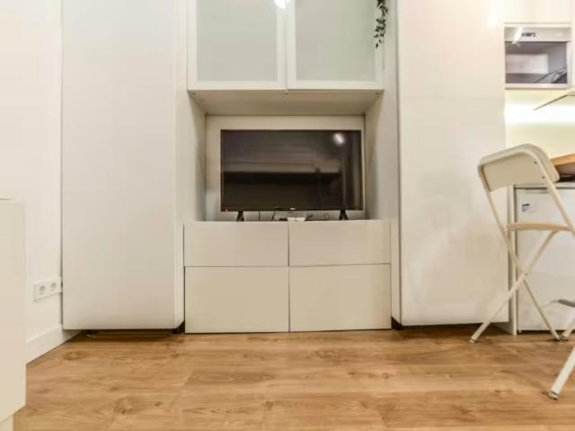 Apartamentos 1 Dormitorio Madrid Madrid ES98022780