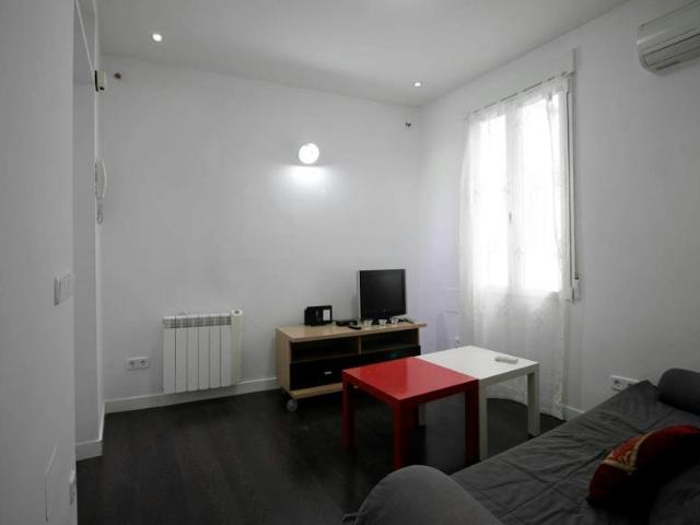 Apartamentos 1 Dormitorio Madrid Madrid ES100766414