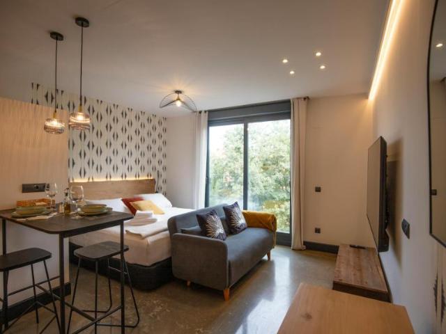 Apartamentos 1 Dormitorio Madrid Madrid ES100151377
