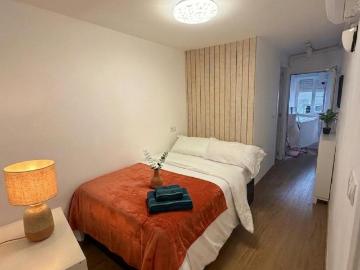 Apartamentos 1 Dormitorio Madrid Madrid ES101511542
