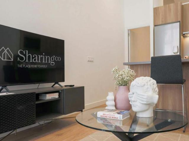 Apartamentos 1 Dormitorio Madrid Madrid ES101615452
