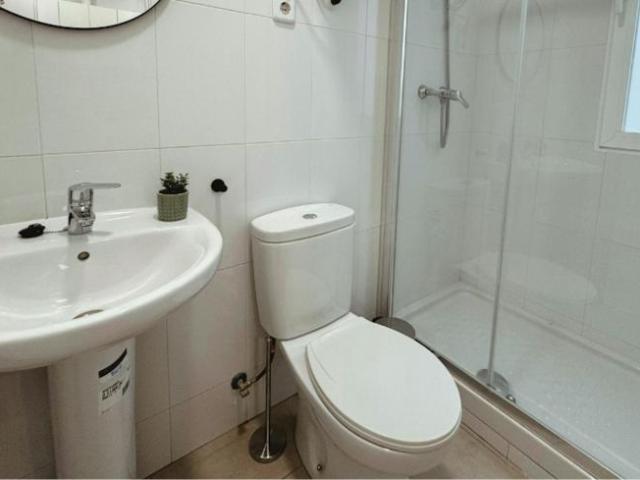 Apartamentos 1 Dormitorio Madrid Madrid ES101843476