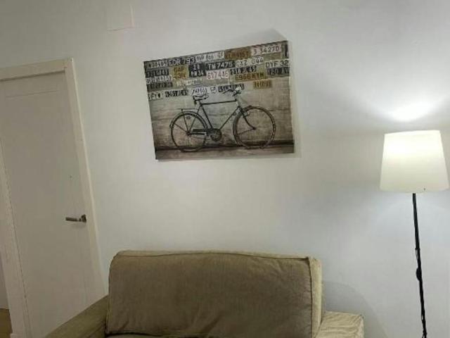 Apartamentos 1 Dormitorio Madrid Madrid ES101057523