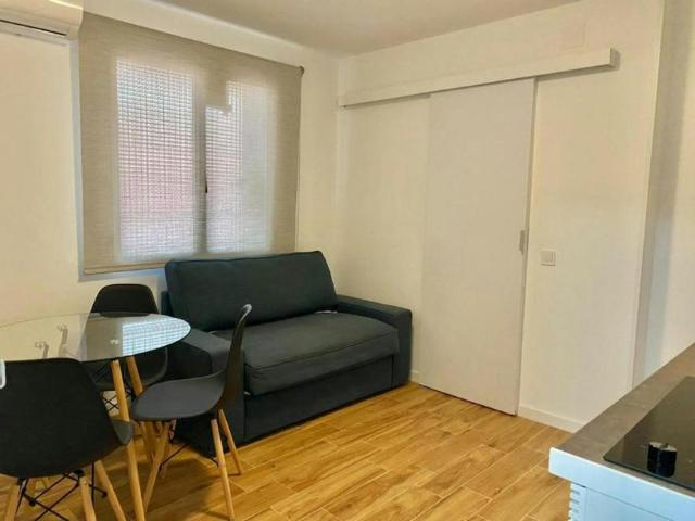 Apartamentos 1 Dormitorio Madrid Madrid ES101057524