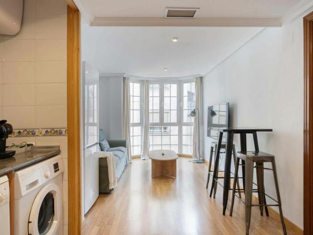 Apartamentos 1 Dormitorio Madrid Madrid ES103612804