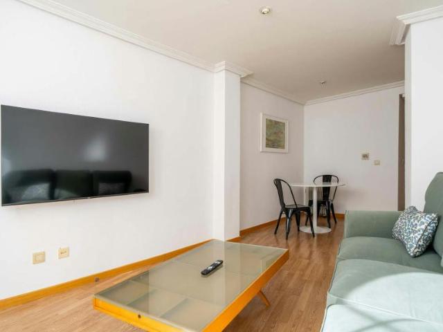 Apartamentos 1 Dormitorio Madrid Madrid ES103612807