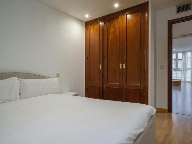 Apartamentos 1 Dormitorio Madrid Madrid ES103612808