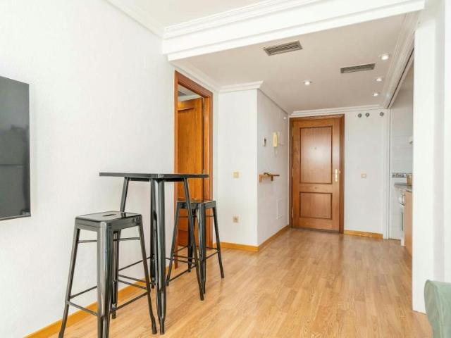 Apartamentos 1 Dormitorio Madrid Madrid ES103612811