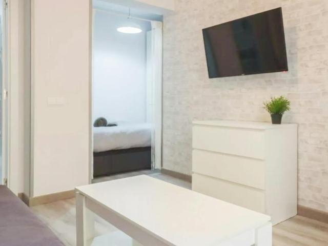 Apartamentos 1 Dormitorio Madrid Madrid ES103654511
