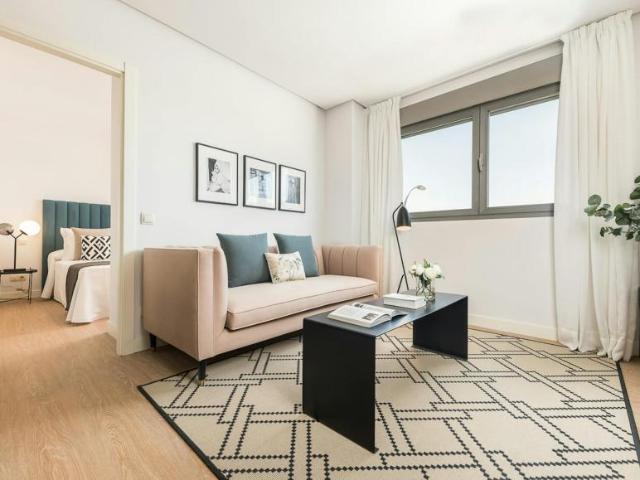 Apartamentos 1 Dormitorio Madrid Madrid ES103696045