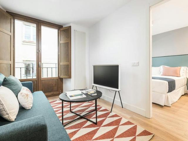 Apartamentos 1 Dormitorio Madrid Madrid ES103841522