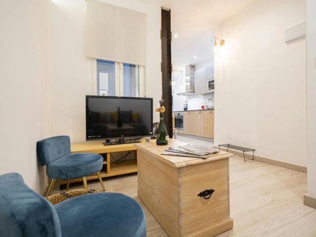 Apartamentos 1 Dormitorio Madrid Madrid ES103843030