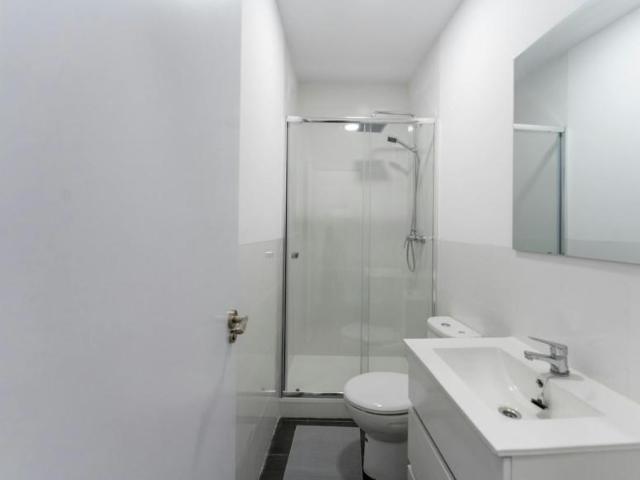 Apartamentos 1 Dormitorio Madrid Madrid ES103922278