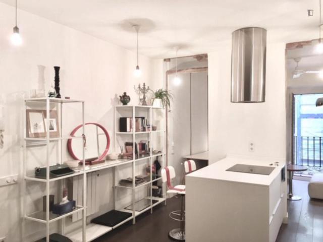 Apartamentos 1 Dormitorio Madrid Madrid ES103256617