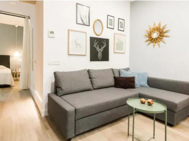 Apartamentos 1 Dormitorio Madrid Madrid ES103260541