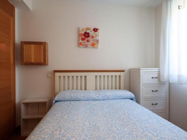 Apartamentos 1 Dormitorio Madrid Madrid ES103263864