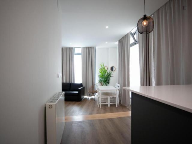 Apartamentos 1 Dormitorio Madrid Madrid ES103264792