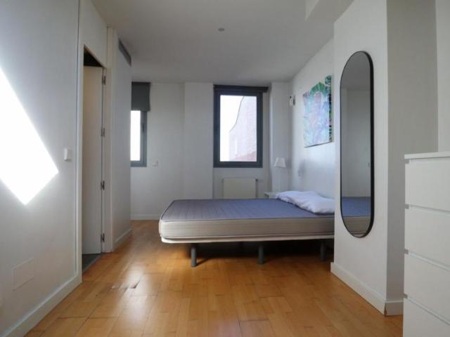 Apartamentos 1 Dormitorio Madrid Madrid ES103265283