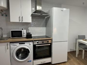 Apartamentos 1 Dormitorio Madrid Madrid ES103267883