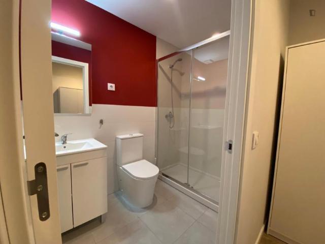 Apartamentos 1 Dormitorio Madrid Madrid ES103268817