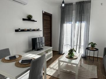Apartamentos 1 Dormitorio Madrid Madrid ES103269622