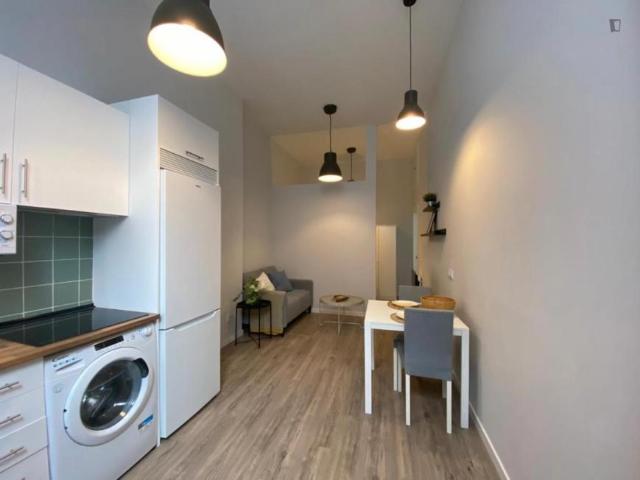 Apartamentos 1 Dormitorio Madrid Madrid ES103269938