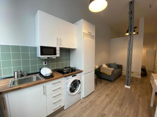 Apartamentos 1 Dormitorio Madrid Madrid ES103270023