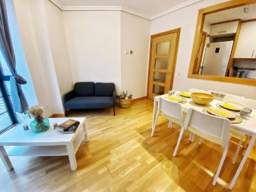 Apartamentos 1 Dormitorio Madrid Madrid ES103270238