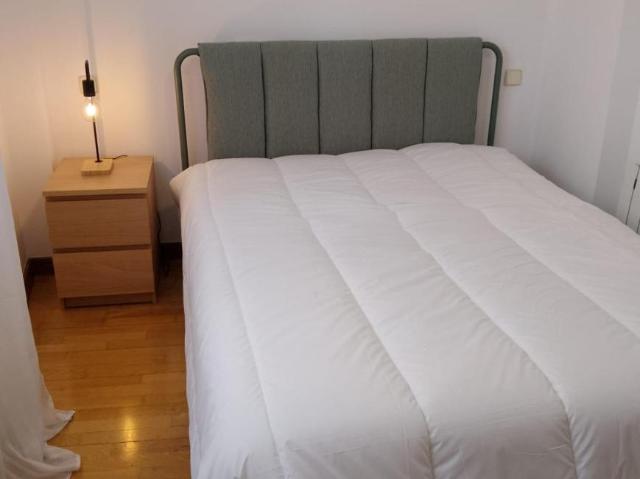 Apartamentos 1 Dormitorio Madrid Madrid ES103273186