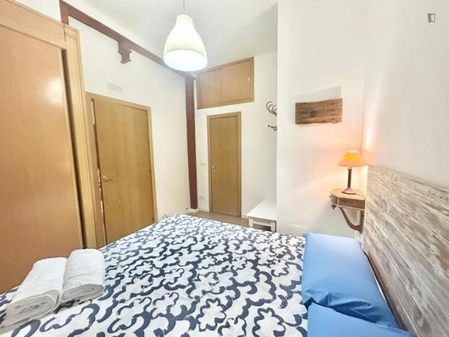 Apartamentos 1 Dormitorio Madrid Madrid ES103278843