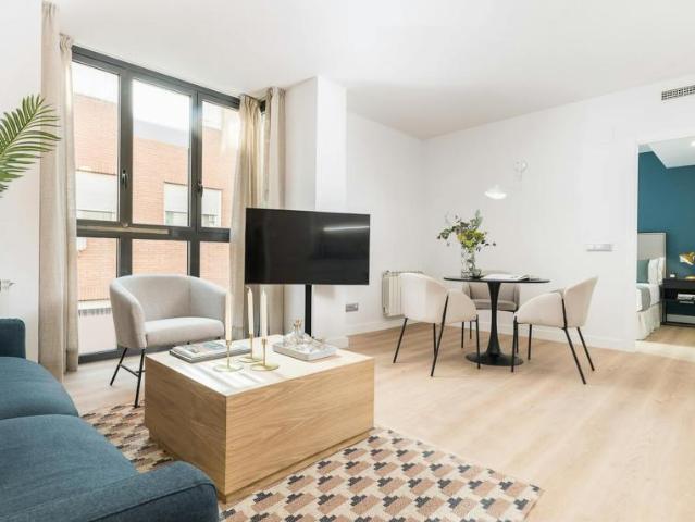 Apartamentos 1 Dormitorio Madrid Madrid ES104825598