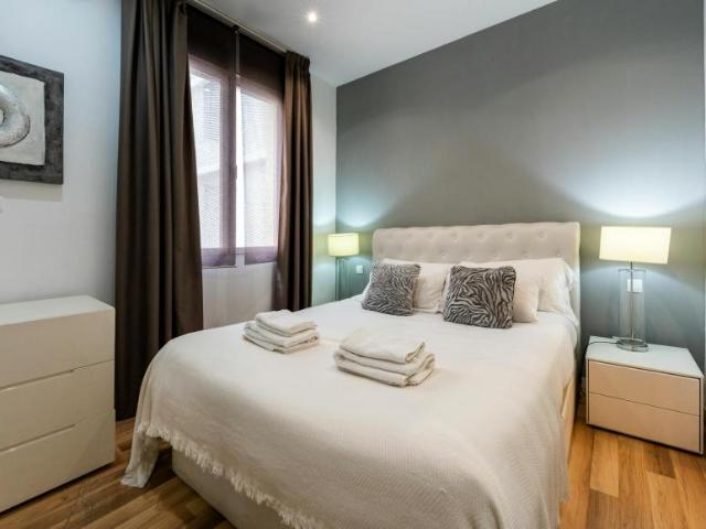 Apartamentos 1 Dormitorio Madrid Madrid ES104038384