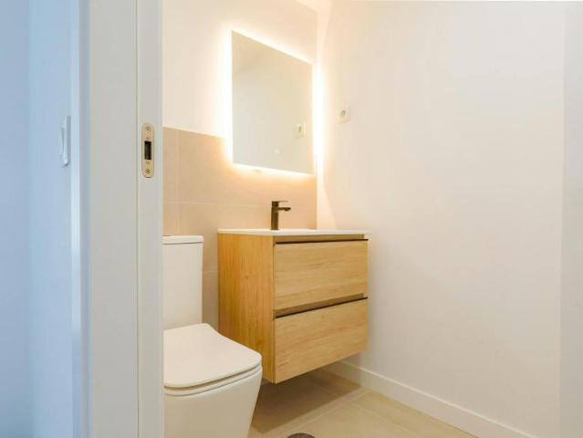 Apartamentos 1 Dormitorio Madrid Madrid ES105487212